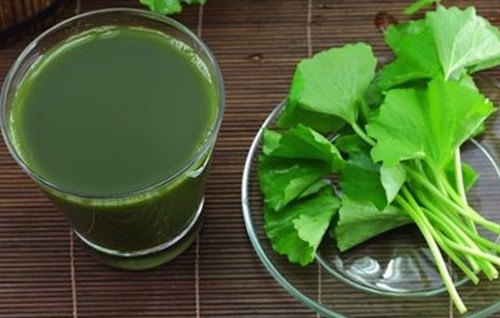 Nước mát dễ làm cho những ngày hè oi ả ảnh 1